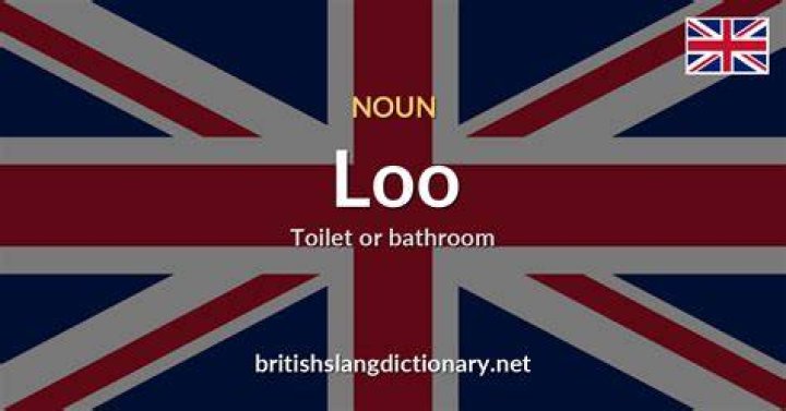 Is loo a slang word?